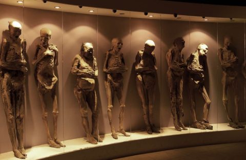 Momias en el museo de Guanajuato