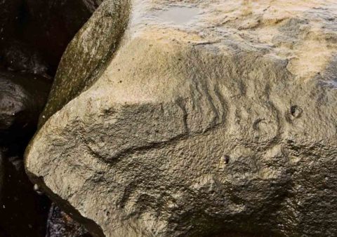Petroglifo en la zona arqueológica de Las Labradas