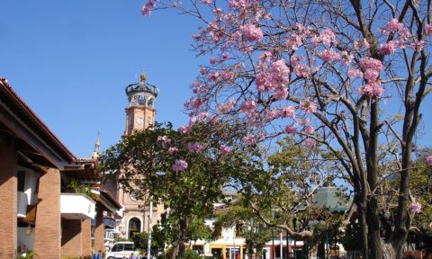Atractivos en Puerto Vallarta: Plaza de Armas