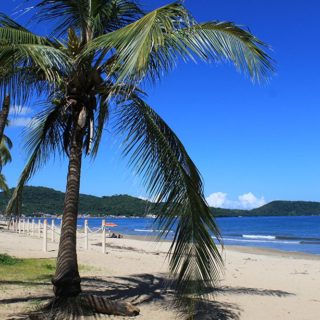 Rincón de Guayabitos: hermoso destino en Riviera Nayarit.