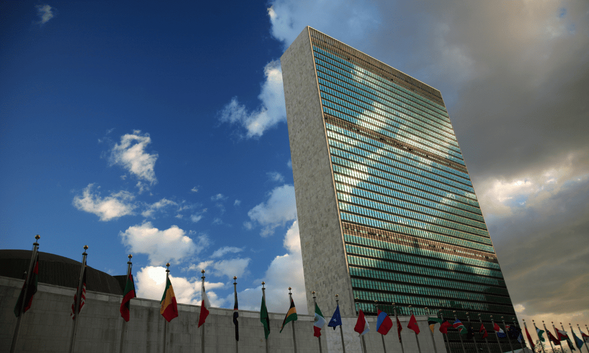 La ONU y la UNESCO