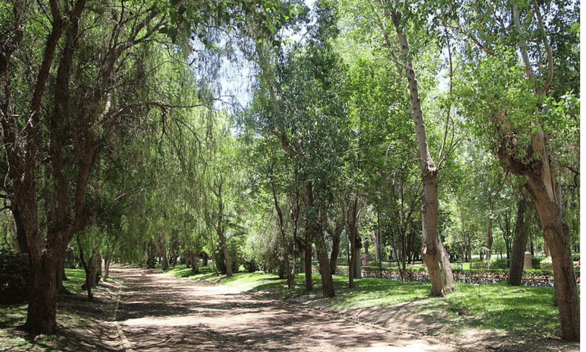Parque Tangamanga 1