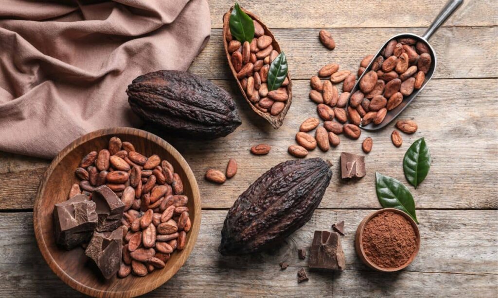 El cacao y el chocolate en la cultura maya