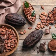 El cacao y el chocolate en la cultura maya