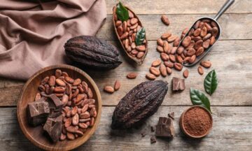 El cacao y el chocolate en la cultura maya