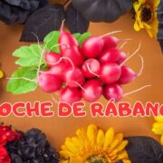 Noche de Rábanos: arte efímero y tradición viva de Oaxaca