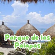 Parque de las Palapas: el corazón cultural de Cancún