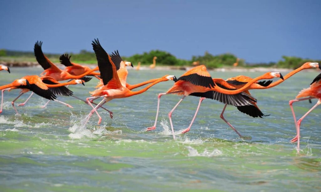 El estado de Yucatán: donde la naturaleza se cuida